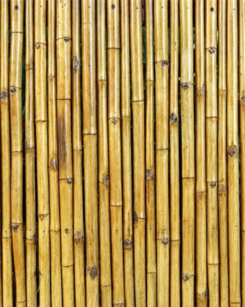 Bamboo Wall Hire Adelaide